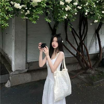 八美图